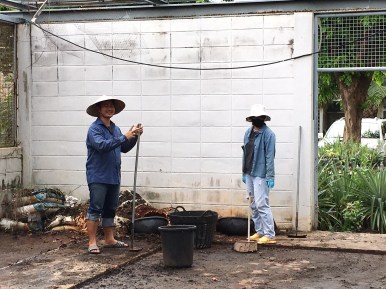 นิสิตพืชไร่นา รวมตัวกันทำความสะอาดและพัฒนาโรงเรือนทดลอง ภาควิชาพืชไร่นา คณะเกษตรศาสตร์ — ภาพที่ 35