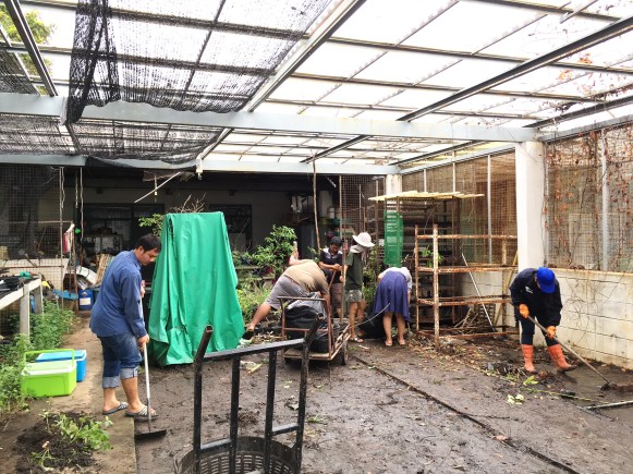 นิสิตพืชไร่นา รวมตัวกันทำความสะอาดและพัฒนาโรงเรือนทดลอง ภาควิชาพืชไร่นา คณะเกษตรศาสตร์ — ภาพที่ 33