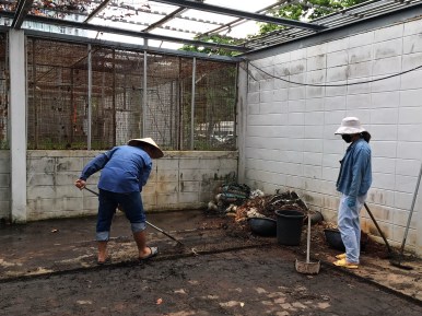 นิสิตพืชไร่นา รวมตัวกันทำความสะอาดและพัฒนาโรงเรือนทดลอง ภาควิชาพืชไร่นา คณะเกษตรศาสตร์ — ภาพที่ 30