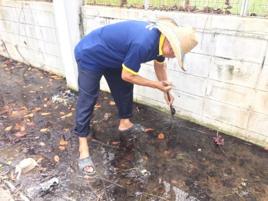 นิสิตพืชไร่นา รวมตัวกันทำความสะอาดและพัฒนาโรงเรือนทดลอง ภาควิชาพืชไร่นา คณะเกษตรศาสตร์ — ภาพที่ 23