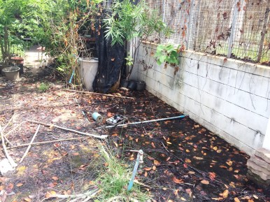 นิสิตพืชไร่นา รวมตัวกันทำความสะอาดและพัฒนาโรงเรือนทดลอง ภาควิชาพืชไร่นา คณะเกษตรศาสตร์ — ภาพที่ 37