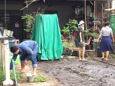 นิสิตพืชไร่นา รวมตัวกันทำความสะอาดและพัฒนาโรงเรือนทดลอง ภาควิชาพืชไร่นา คณะเกษตรศาสตร์ — ภาพที่ 29