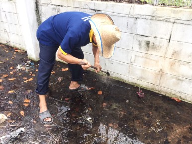 นิสิตพืชไร่นา รวมตัวกันทำความสะอาดและพัฒนาโรงเรือนทดลอง ภาควิชาพืชไร่นา คณะเกษตรศาสตร์ — ภาพที่ 24