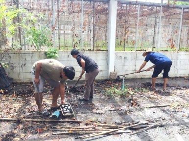 นิสิตพืชไร่นา รวมตัวกันทำความสะอาดและพัฒนาโรงเรือนทดลอง ภาควิชาพืชไร่นา คณะเกษตรศาสตร์ — ภาพที่ 22