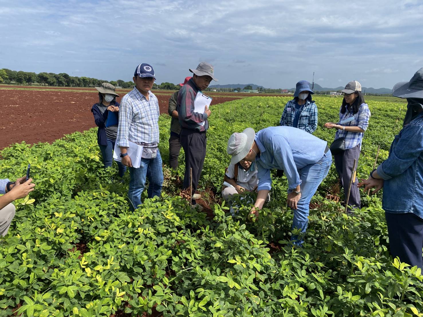 สำนักงานพัฒนาการวิจัยการเกษตร (องค์การมหาชน)  (สวก.) ประเมินโครงการวิจัย — ภาพที่ 4