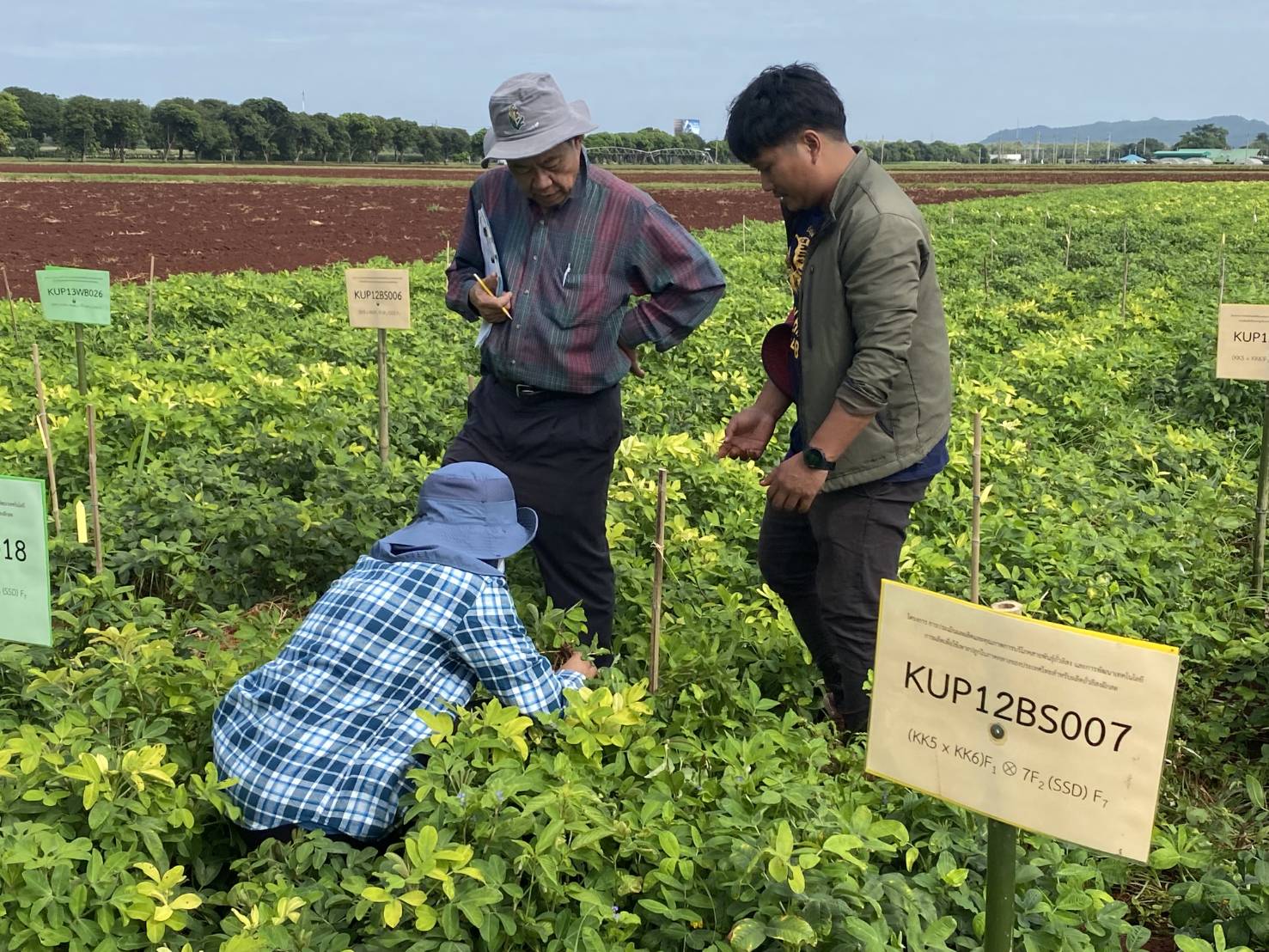 สำนักงานพัฒนาการวิจัยการเกษตร (องค์การมหาชน)  (สวก.) ประเมินโครงการวิจัย — ภาพที่ 7