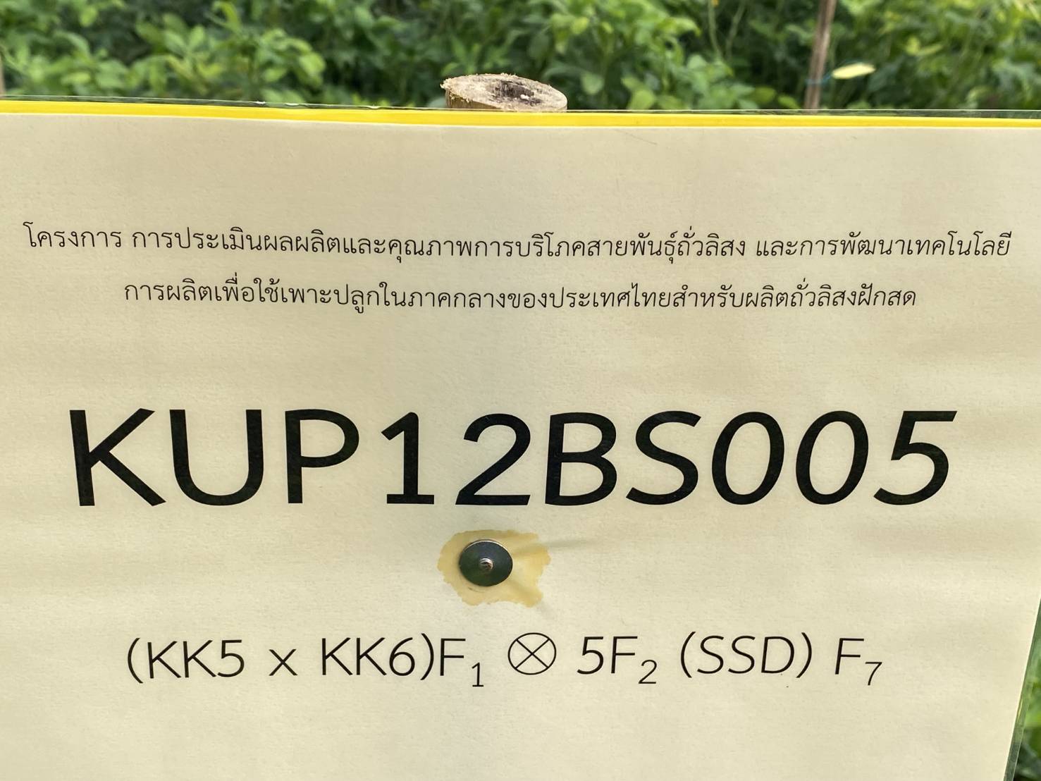 สำนักงานพัฒนาการวิจัยการเกษตร (องค์การมหาชน)  (สวก.) ประเมินโครงการวิจัย — ภาพที่ 10