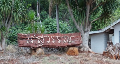 การประชุมเชิงปฏิบัติการสร้างความร่วมมือด้านงานวิจัย ระหว่างภาควิชาพืชไร่นาและศูนย์วิจัยข้าวโพดและข้าวฟ่างแห่งชาติ — ภาพที่ 40