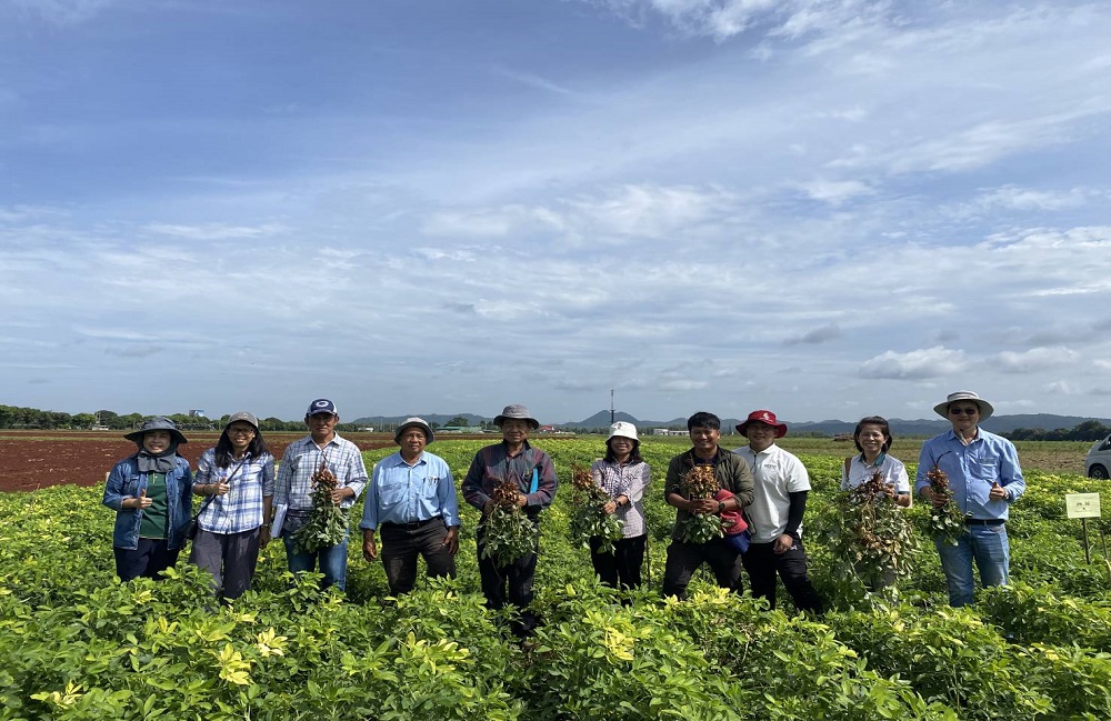 สำนักงานพัฒนาการวิจัยการเกษตร (องค์การมหาชน)  (สวก.) ประเมินโครงการวิจัย