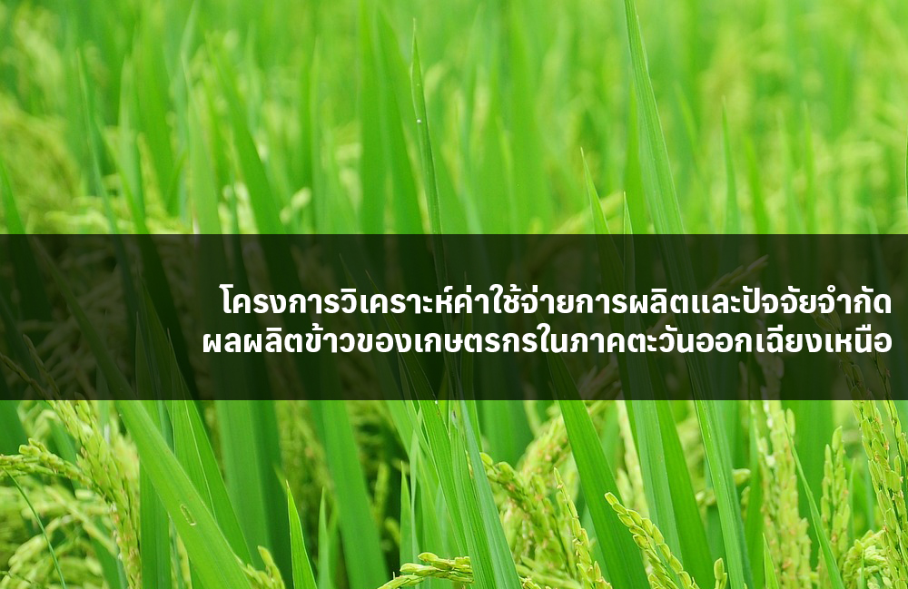 โครงการวิเคราะห์ค่าใช้จ่ายการผลิตและปัจจัยจำกัดผลผลิตข้าวของเกษตรกรในภาคตะวันออกเฉียงเหนือ
